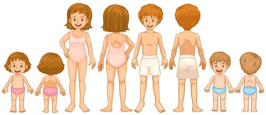 O Nosso Corpo: Atividade de Ciências 1º ano