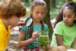 Projeto Sobre o Meio Ambiente para Educação Infantil (1)