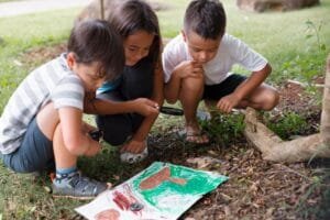 Projeto Sobre o Meio Ambiente para Educação Infantil (3)