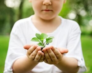 3 Ideias de Projeto Sobre Sustentabilidade para Educação Infantil (2)