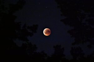 Eclipse Lunar de Março de 2025 (1)
